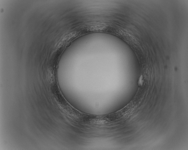 X0000073490743200608211649