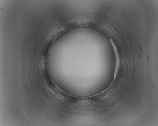 X0000073490744200608211649