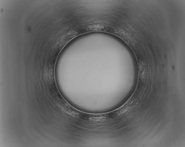 X0000073490745200608211649