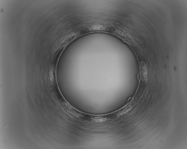 X0000073490746200608211649