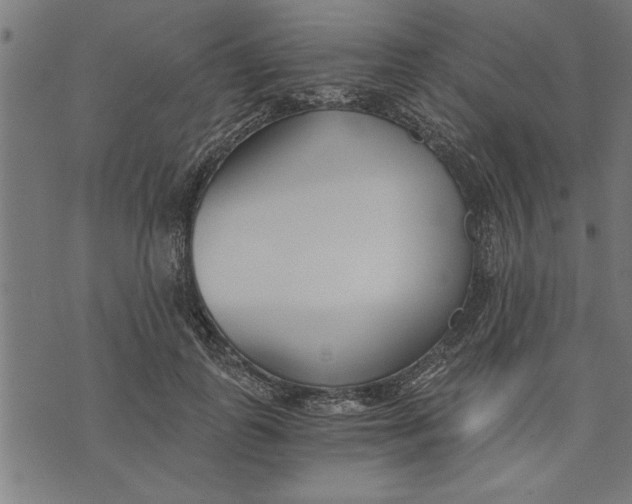 X0000073490747200608211649