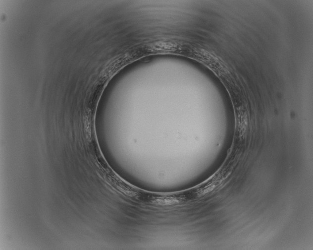 X0000073490749200608211649