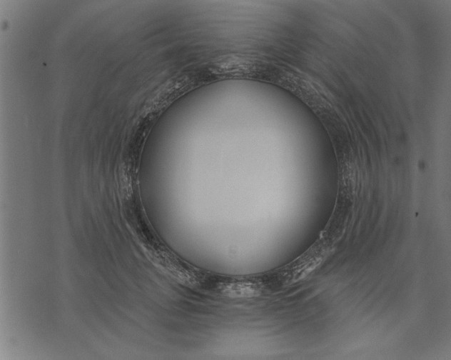 X0000073490751200608211649