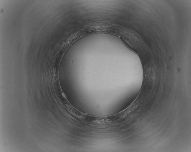 X0000073490752200608211649