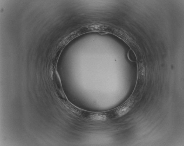 X0000073490754200608211649