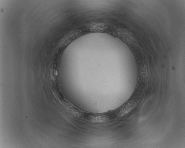 X0000073490755200608211649