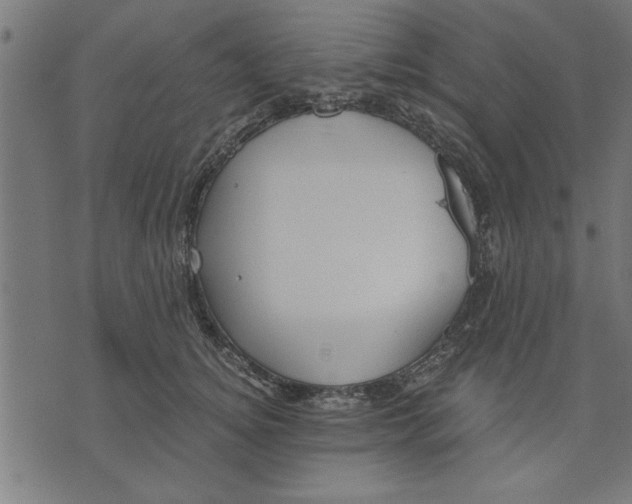 X0000073490756200608211649