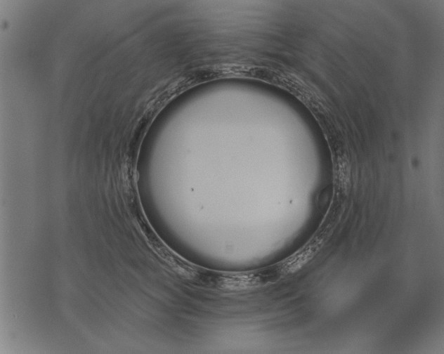 X0000073490757200608211649