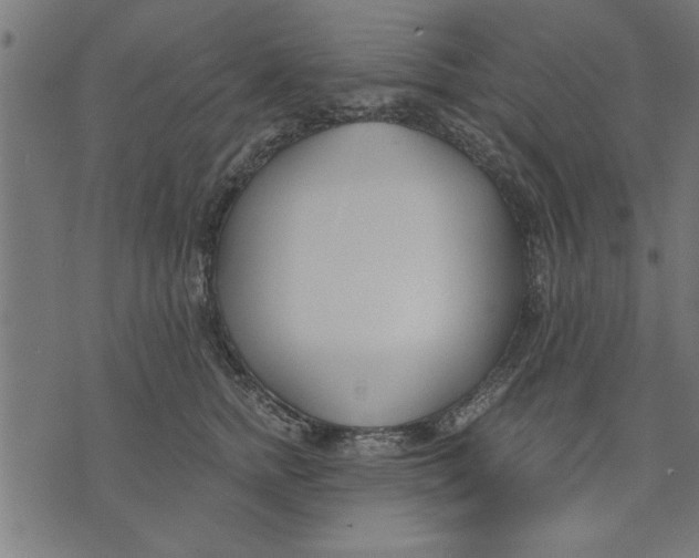 X0000073490758200608211649