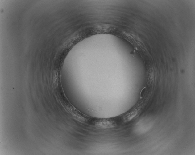 X0000073490759200608211649