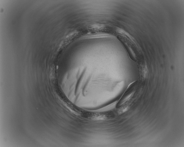 X0000073490760200608211649
