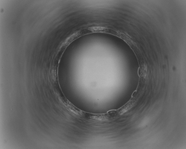 X0000073490763200608211649