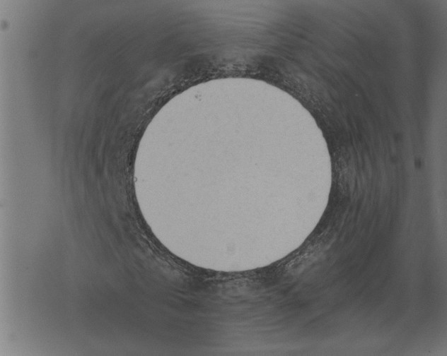 X0000073490769200608211649