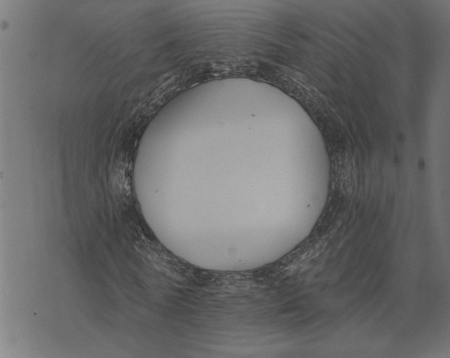 X0000073490770200608211649