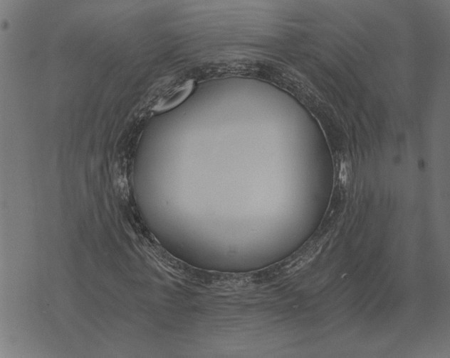 X0000073490771200608211649