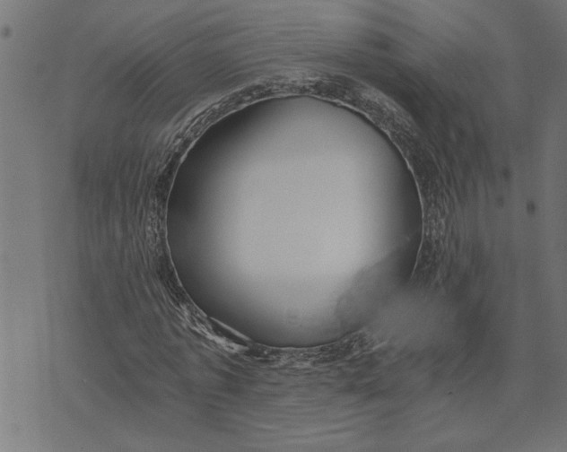 X0000073490773200608211649