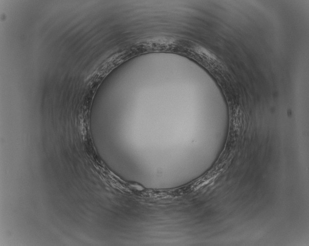 X0000073490774200608211649