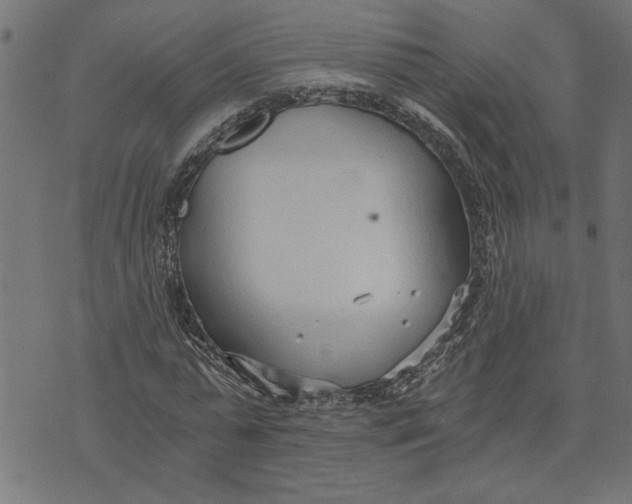 X0000073490775200608211649