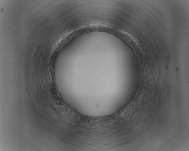 X0000073490776200608211649