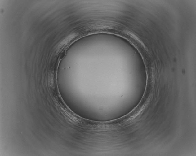 X0000073490777200608211649