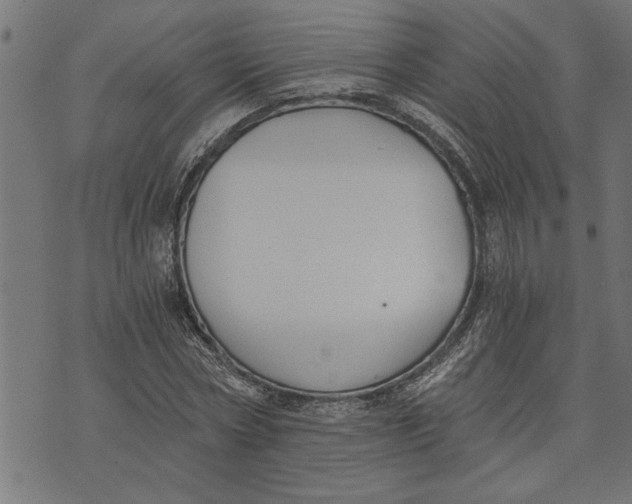 X0000073490778200608211649