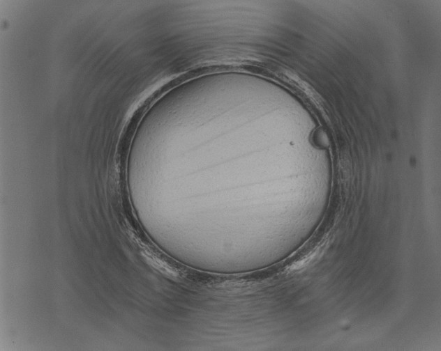 X0000073490779200608211649