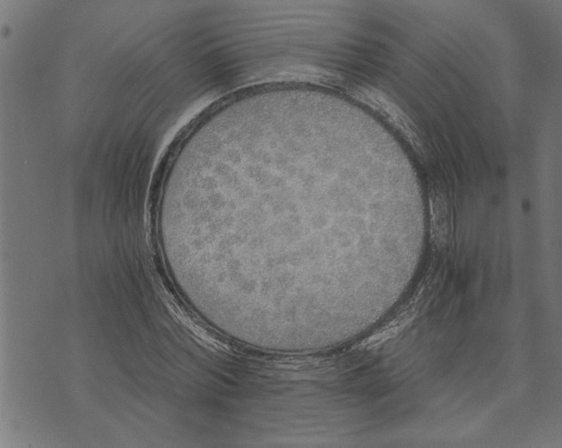 X0000073490780200608211649