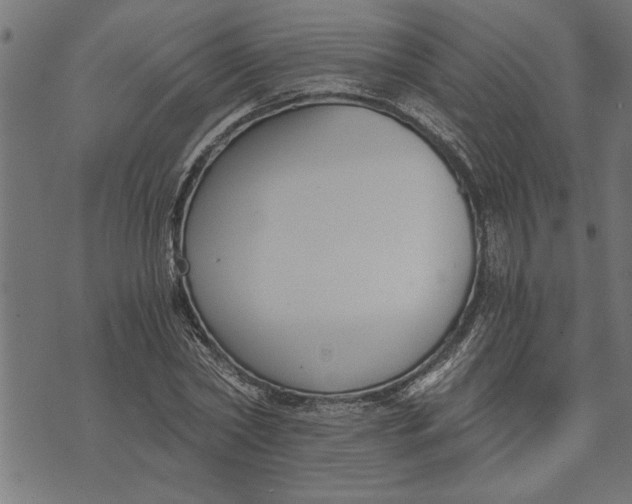 X0000073490782200608211649