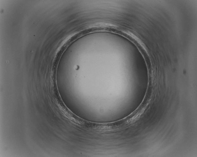 X0000073490783200608211649