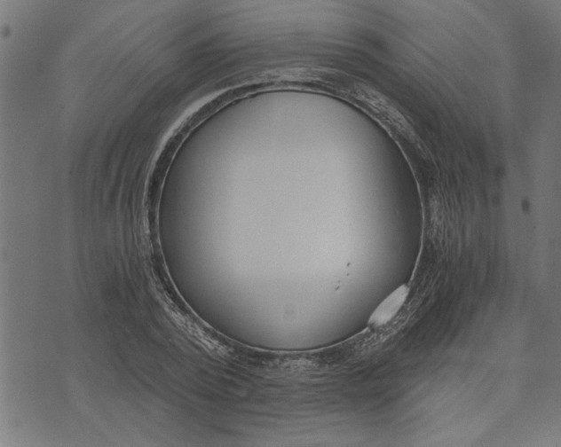 X0000073490784200608211649