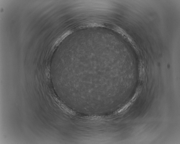 X0000073490785200608211649