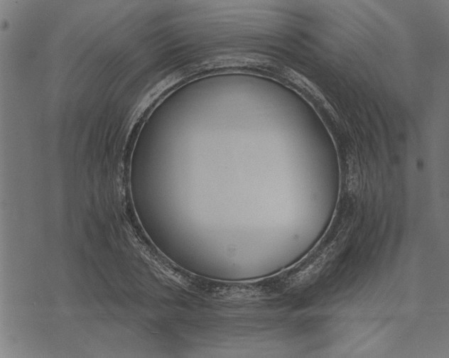 X0000073490786200608211649