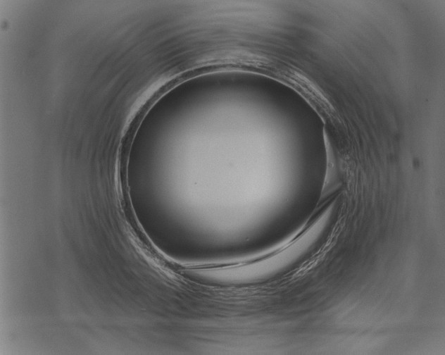 X0000073490788200608211649