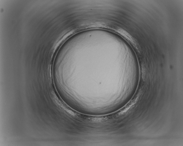 X0000073490790200608211648