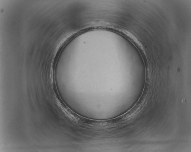 X0000073490791200608211648