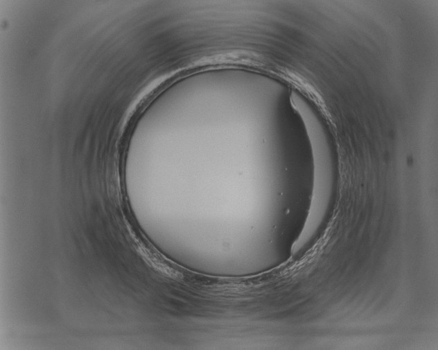 X0000073490792200608211648