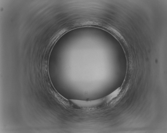 X0000073490793200608211648