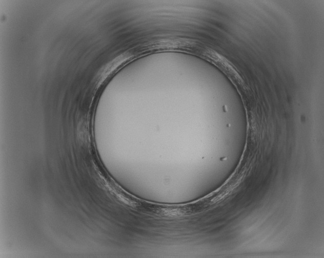 X0000073490794200608211648