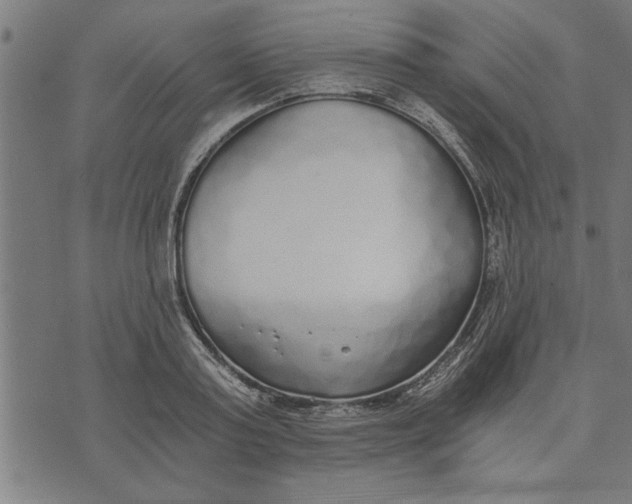 X0000073490795200608211648