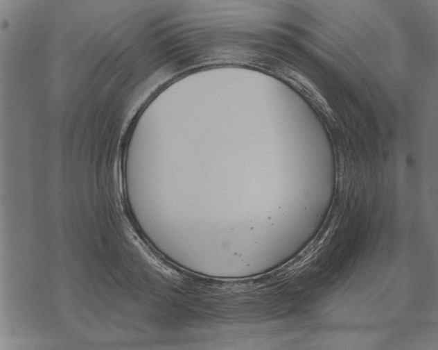 X0000073490796200608211648