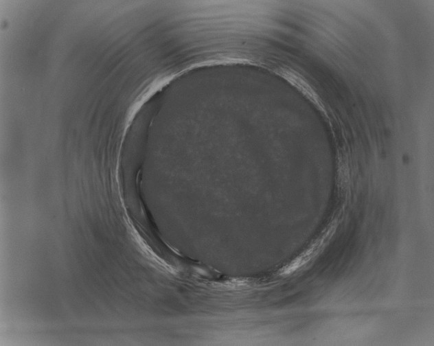 X0000073490797200608211648