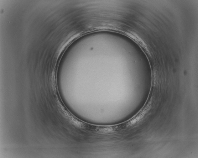 X0000073490798200608211648