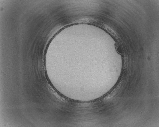 X0000073490800200608211648