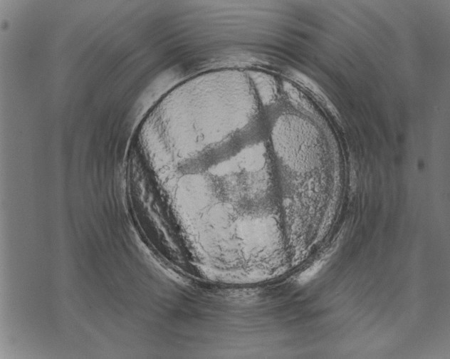 X0000073490802200608211648