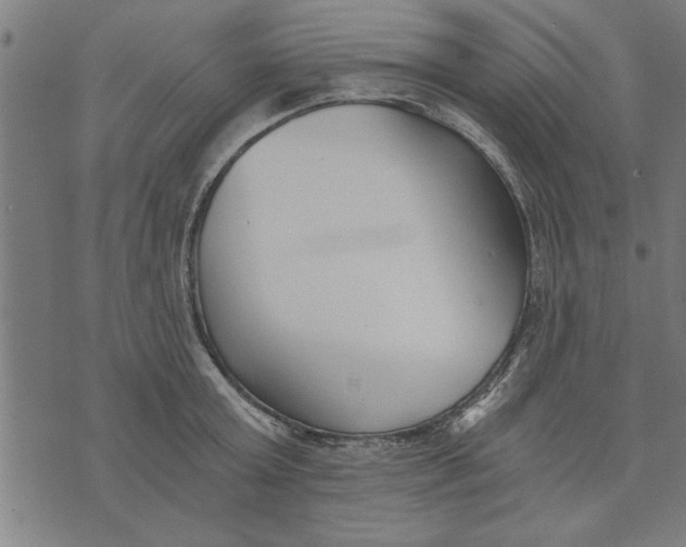 X0000073490803200608211648