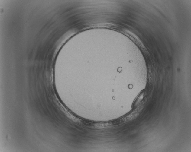 X0000073490804200608211648