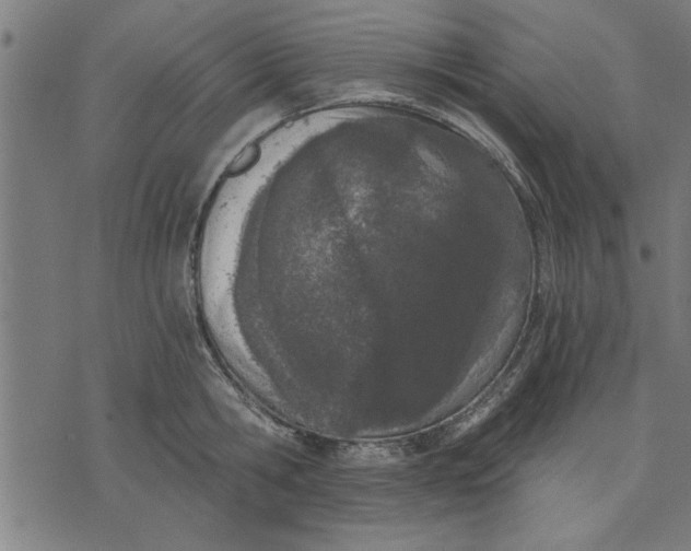 X0000073490806200608211648