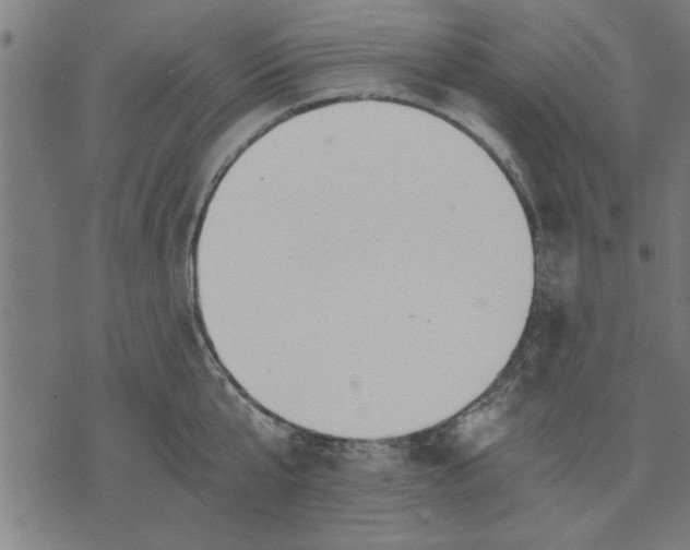 X0000073490807200608211648