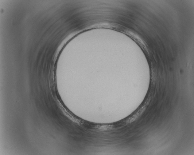 X0000073490808200608211648