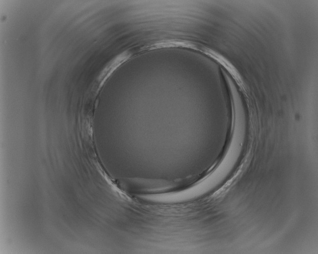 X0000073490809200608211648